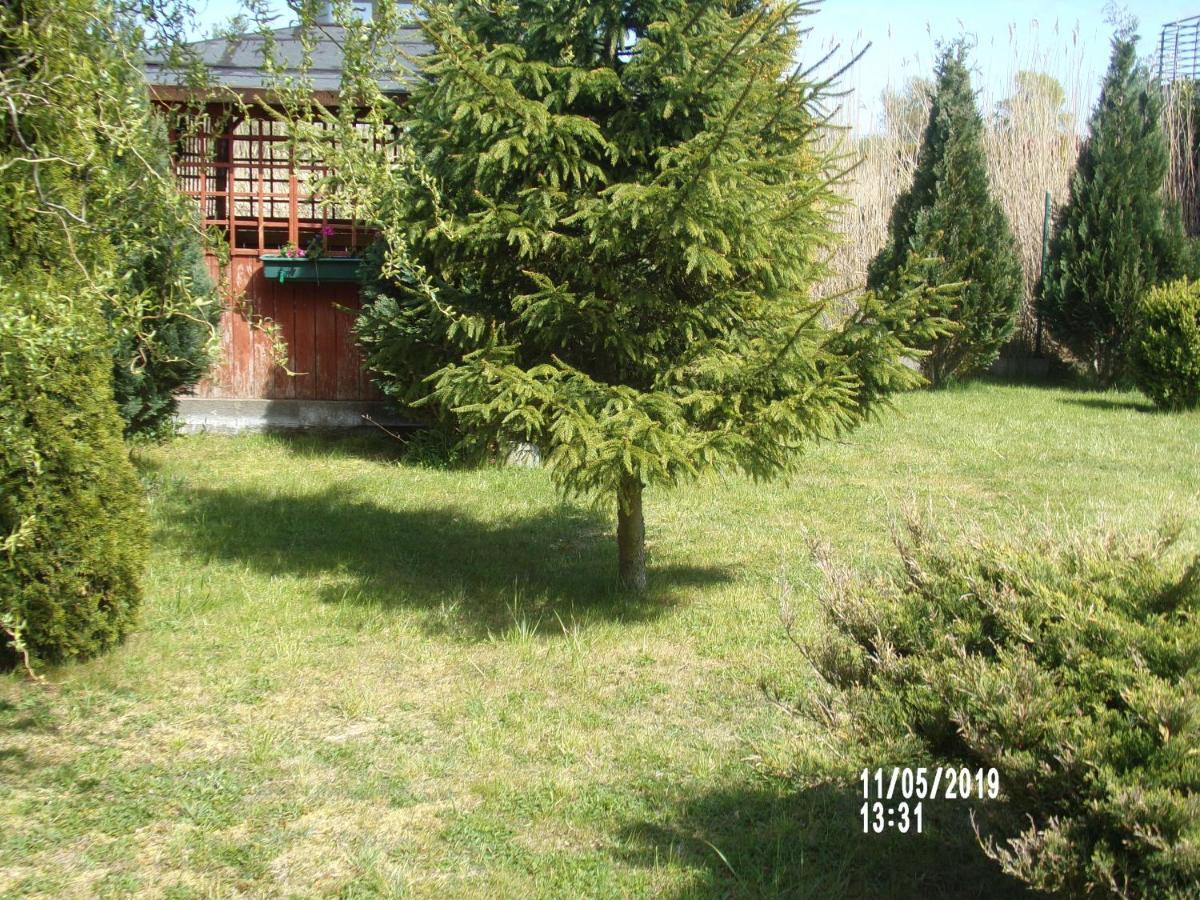 Villa Iwona Grzybowo  Esterno foto